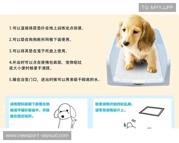 宠物狗日常生活习惯与健康护理全攻略揭秘